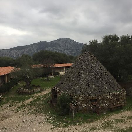 Вилла Turismo Rurale Su Cuile Доргали Экстерьер фото